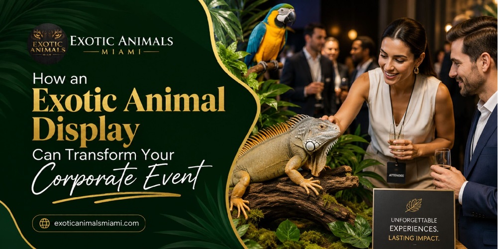 How an Exotic Animal Display Can Transform Your Corporate Event